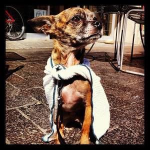 Meet your Posher, Jack